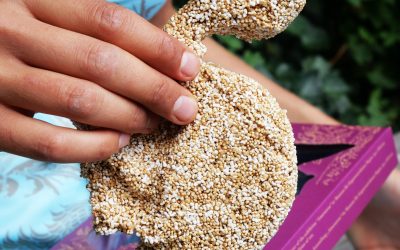 Not Done Yet: Koloniale Kontinuitäten